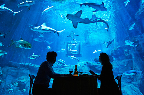 Podvodni apartma 1459374390665