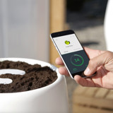 Biorazgradljiva žara Bios Um