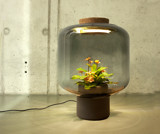 Myrdal Plantlamp