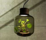 Myrdal Plantlamp