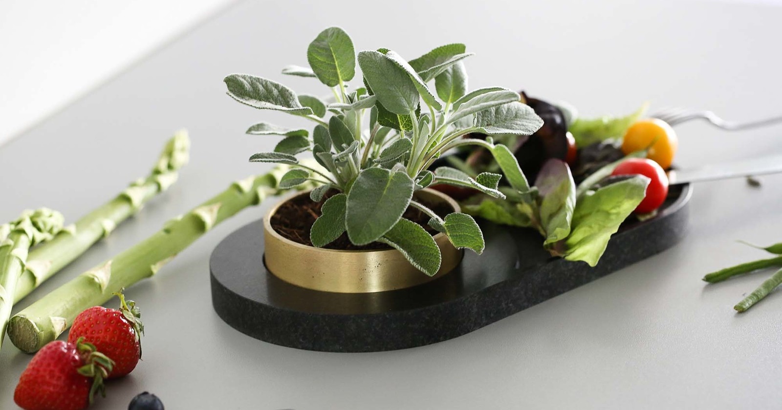 Koncept Planirure - združevanje pohištva in gojenja rastlin