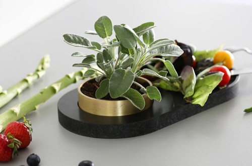 Koncept Planirure - združevanje pohištva in gojenja rastlin 1460628423871