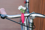 Bike Planters