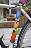 Bike Planters