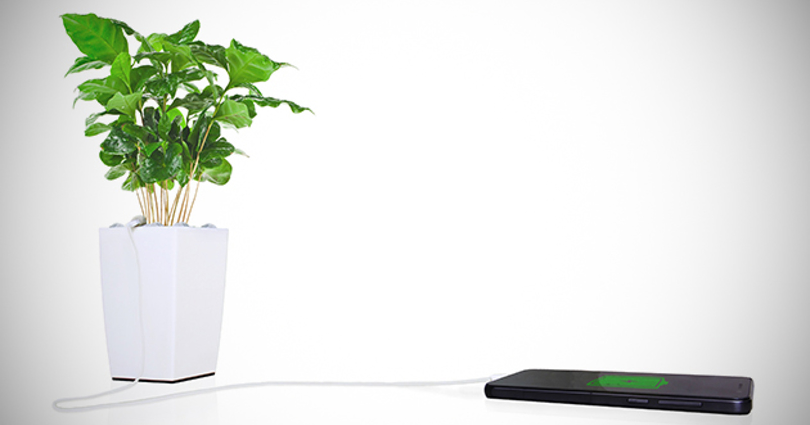 Polnjenje telefonov z Bioo Lite