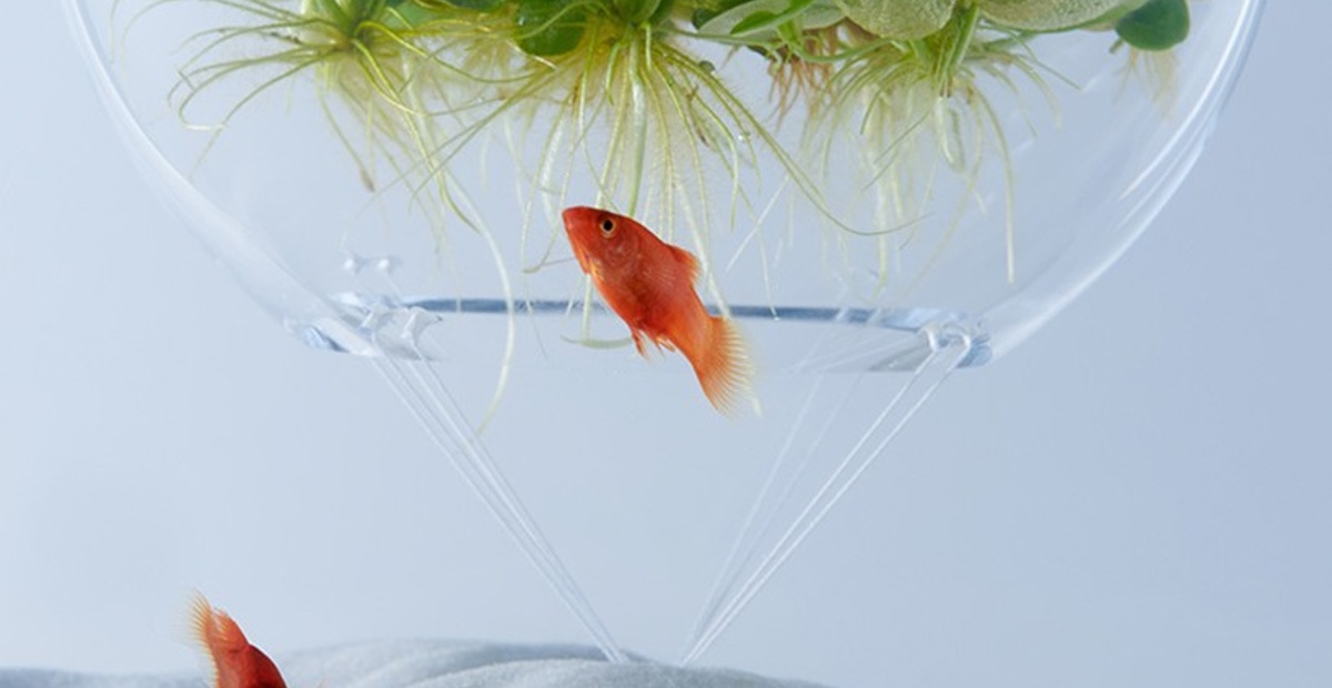 Waterscapes – moderni akvariji