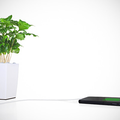 Polnjenje telefonov z Bioo Lite