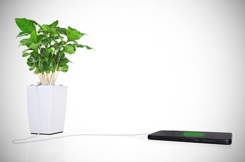 Polnjenje telefonov z Bioo Lite 1462393127404