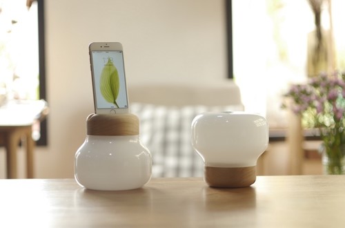 Mushroom Lamp 1463053505605