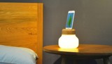 Mushroom Lamp
