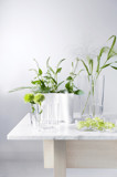 Iittala & Alvar Aalto