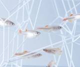 Domiselne skulpture, ki vsaka na svoj način ločuje vodno okolje