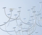 Domiselne skulpture, ki vsaka na svoj način ločuje vodno okolje