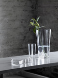 Iittala & Alvar Aalto
