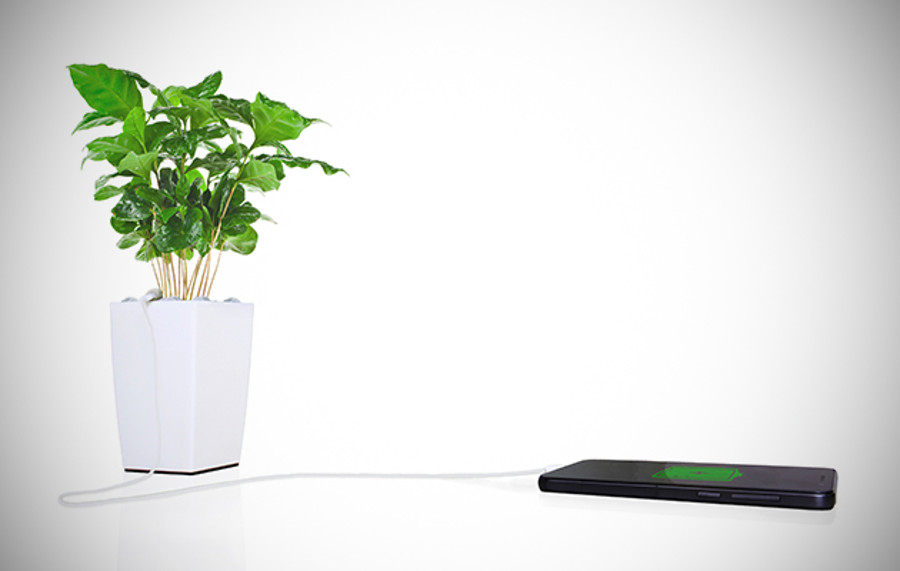 Polnjenje telefonov z Bioo Lite