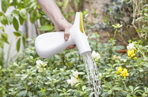 Dekorativna vaza 1466114383809