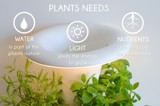- nov sistem za gojenje svežih zelišč v prostorih