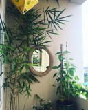 Balkon - urejen balkon za pravo oazo miru