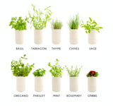 - nov sistem za gojenje svežih zelišč v prostorih