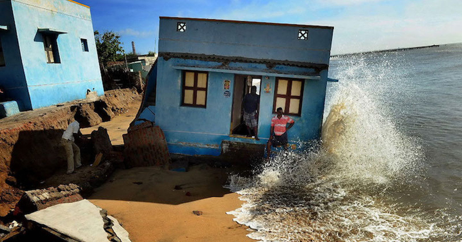 Zmagovalne fotografije