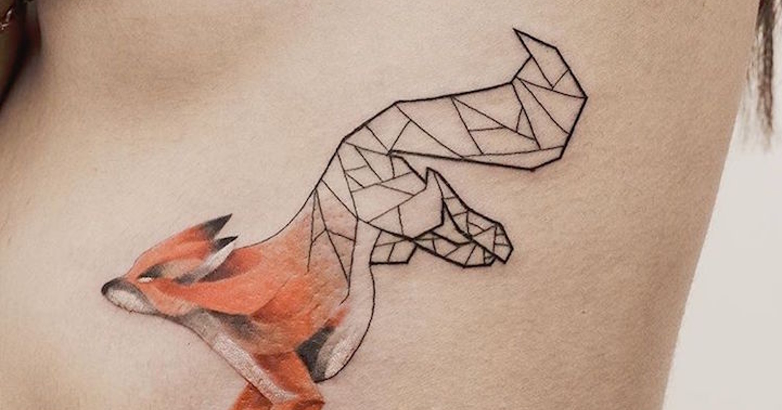 Preplet narave z geometrijo