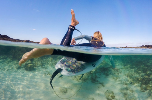 Za podvodne fotografe 1469448140620