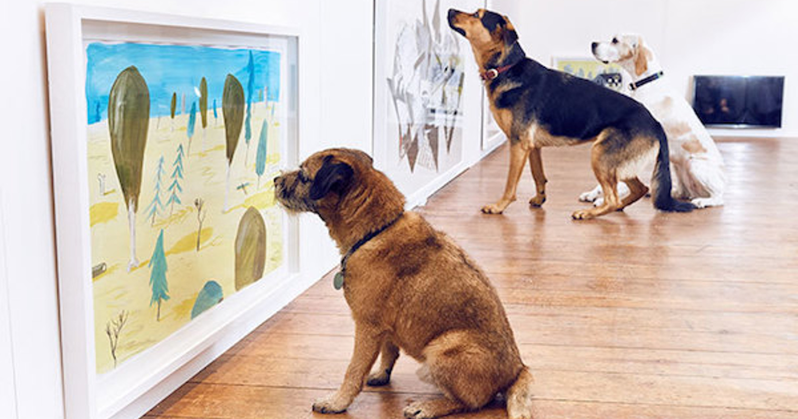 Prva razstava sodobne umetnosti za pse