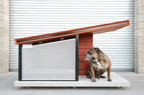 MDK9 DOG HAUS - moderna hiša za pse
