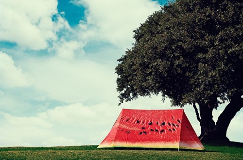 Field Candy 1470033968783