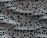 Foto: NASA/JPL/University of Arizona