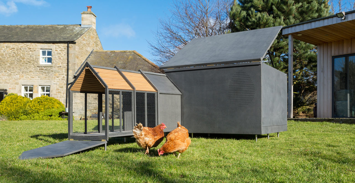 Urbani kokošnjak RASKL