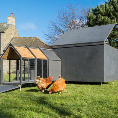 Urbani kokošnjak RASKL