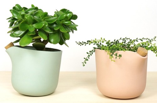 The Natural Balance 1479401747895