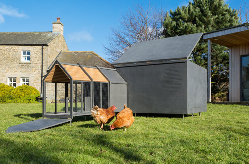 Urbani kokošnjak RASKL 1478943098275