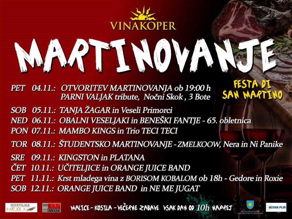martinovanje-2016.jpg