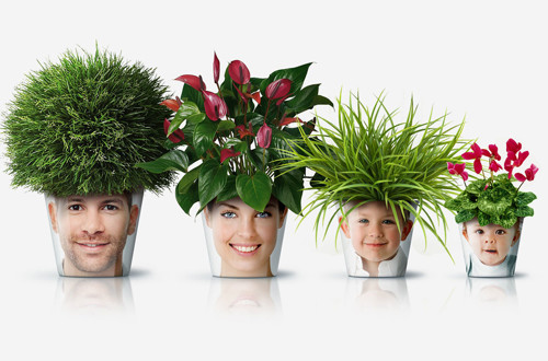 Facepot 1481202959025