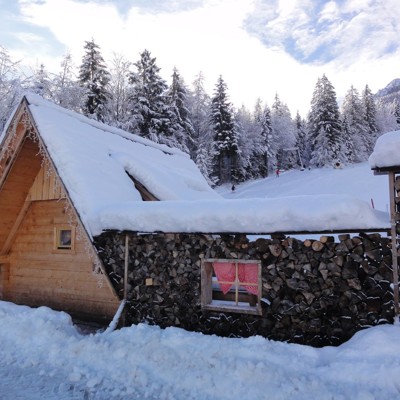 Kosobrin - idilična lesena brunarica v Kranjski gori