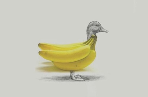 Zabavne ilustracije 1486643259722