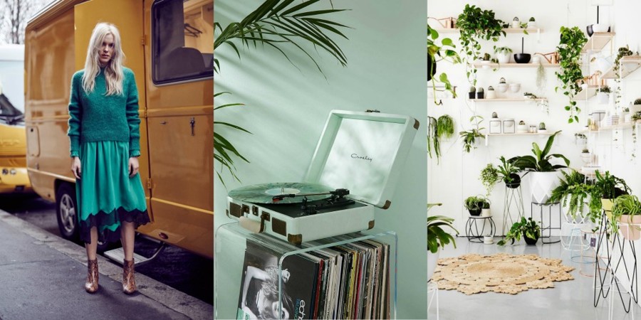 Potep po trendih leta 2017