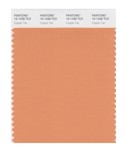 Pantone