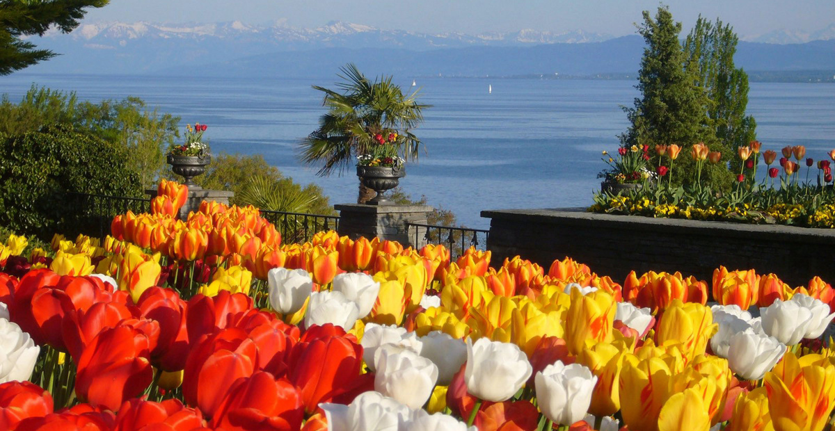 Otok Mainau, Nemčija
