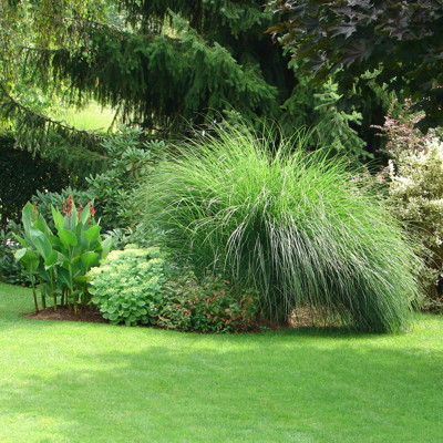 Nagradna igra - Podarjamo 5 izdelkov za sanjsko trato na vrtu