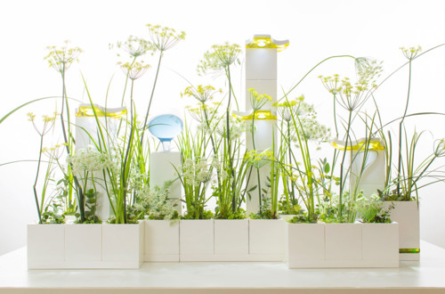 LeGrow 1493105222356