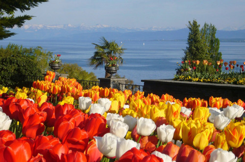 Otok Mainau, Nemčija 1492153571363