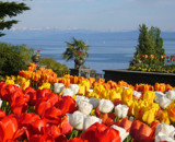 Otok Mainau, Nemčija