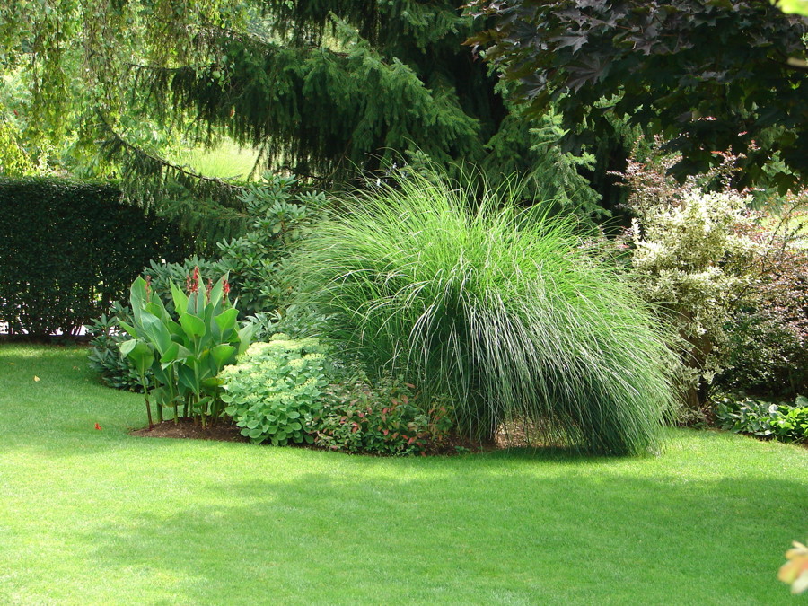 Nagradna igra - Podarjamo 5 izdelkov za sanjsko trato na vrtu