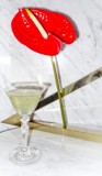 Foto: Kolibri, cocktail bar