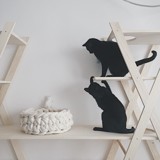 Foto: Mestni Mačjak