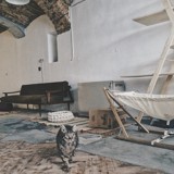 Foto: Mestni Mačjak