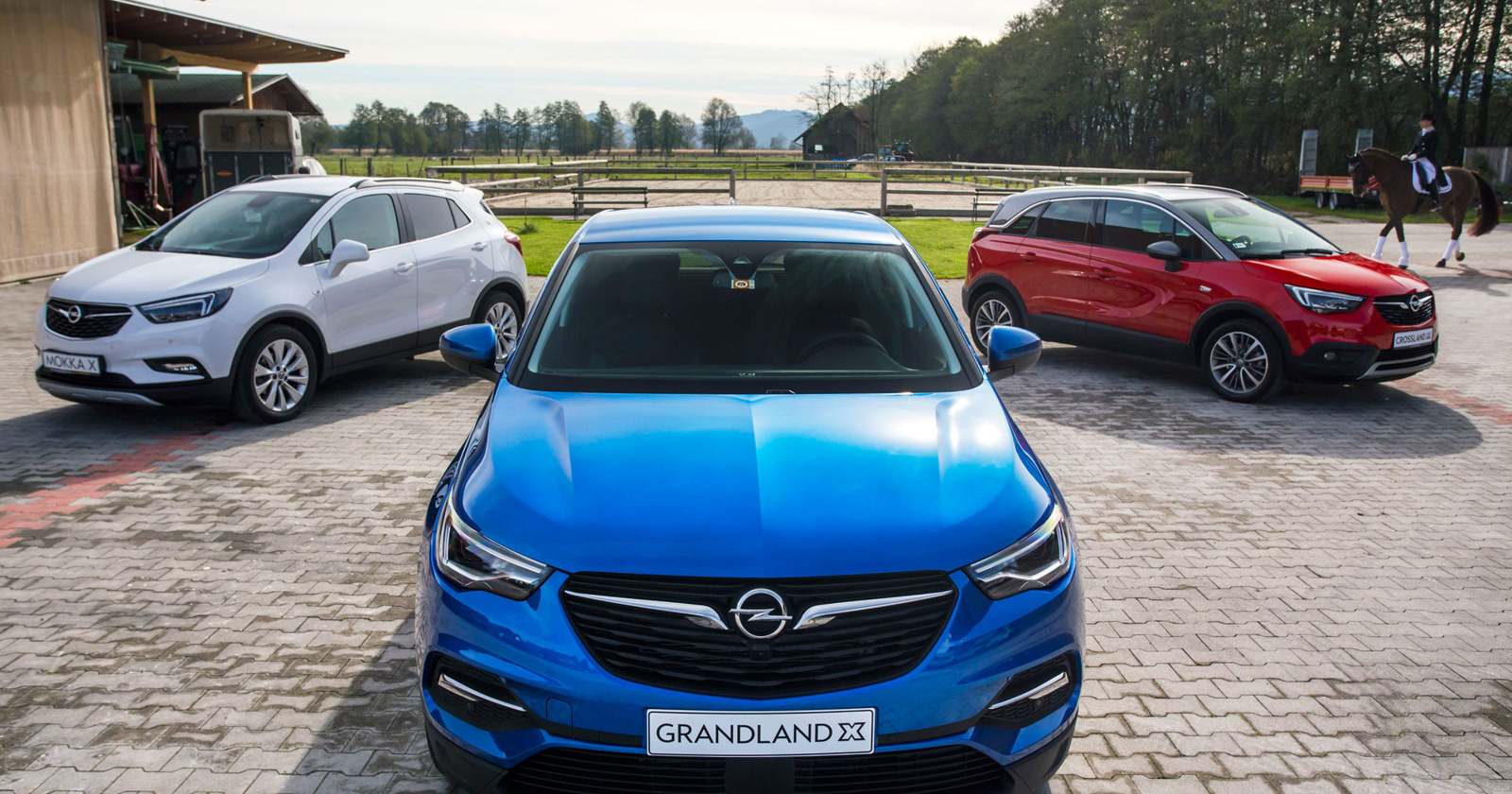 Opel Grandland: največji med brati X